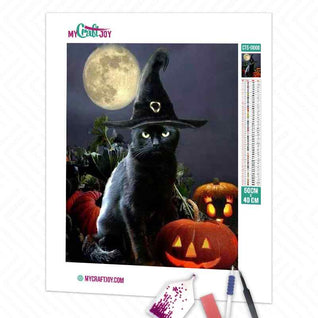 Sorcière Chat - Kit de Broderie Diamant DIY