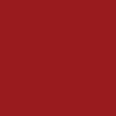 Sachet de 100 diamants en strass DMC #920