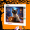 Halloween - DIY Diamond Painting Kit